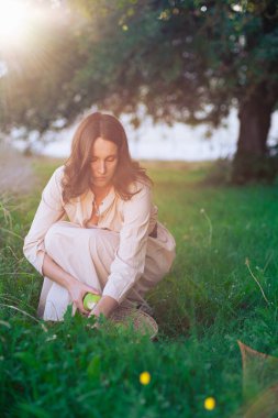 Elma Bahçesindeki Güzel Kız. Güzel açık renk elbiseli genç bir kadın elma ağaçlarının arasında sepette yeşil elma topluyor. Yaz akşamında gün batımında elma toplamak..
