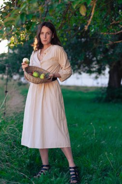 Elma Bahçesindeki Güzel Kız. Güzel açık renk elbiseli genç bir kadın elma ağaçlarının arasında sepette yeşil elma topluyor. Yaz akşamında gün batımında elma toplamak..