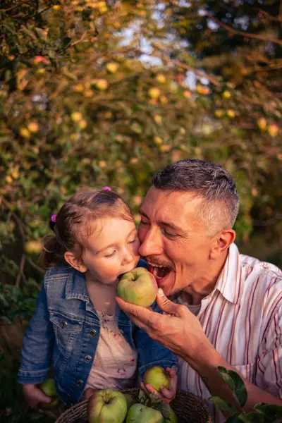 Baba ve kızı sıcak bir sonbahar gününde gün batımında ağaçtan elma topluyor. Kızıyla birlikte meyve bahçesinde hasat sepetine elma toplayan genç bir adam..