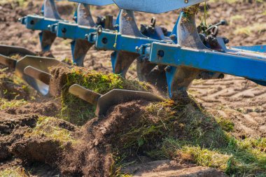 Bir traktör baharın başında bir tarlayı sürer. Mavi bir saban tarımsal ekinler için toprağı kazıyor. Bakir toprak yetiştirme, kırsal bölgelerde kampanya ekme.