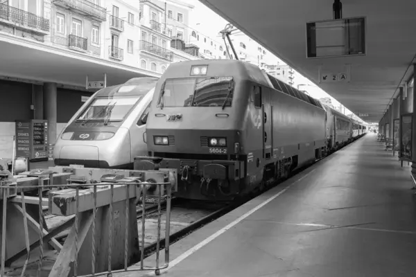 stock image Modern passenger trains stand under the roof of a railway station in Lisbon. Covered station and trains looking into the distance. Black and white image.