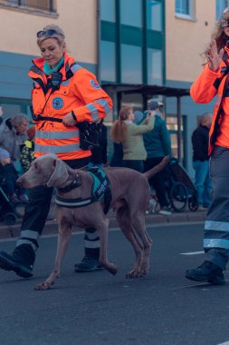 Eisenach, Almanya - 09 Mar 2024: Alman şehrinde karnaval. Kışa ve bahara veda etmeye adanmış bir tatil. Hayvanlar ve yaratıcı kostümler içindeki güzel insanlar sokakta yürürler..