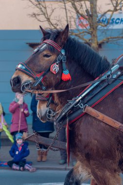 Eisenach, Almanya - 09 Mar 2024: Alman şehrinde karnaval. Kışa ve bahara veda etmeye adanmış bir tatil. Hayvanlar ve yaratıcı kostümler içindeki güzel insanlar sokakta yürürler..
