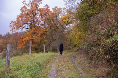 Orman ve patikalı tepenin sonbahar manzarası. Sarı ağaçlar ve hala yeşil çimenler, yolda yürüyen siyah paltolu kadın..