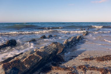 Deniz kıyısında dalgalarla yıkanmış güzel, keskin taşlar. Vahşi bir sahilde taştan tepeler. Pürüzsüz ve uzun taş oluşumları denize dökülüyor. Deniz doğasının güzel bir fotoğrafı..