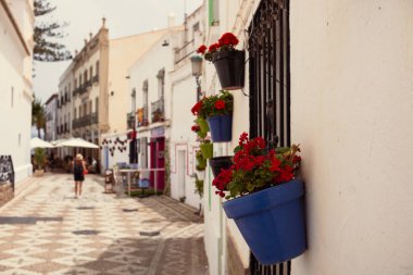 Eski bir evin duvarına sabitlenmiş seramik vazolardaki çiçekler. İspanya 'nın eski Nerja kasabasının dekoru..