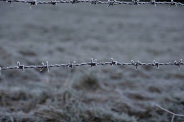 Büyük buzlu dikenli teller. Donmuş buzlu çit. Buz kristalli dikenli tel. Yakın plan..