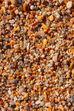 Kaba kumsalın güzel dokusu. Plaj temalı arka plan görüntüsü. Büyük bir kısmı ıslak kumsalda..