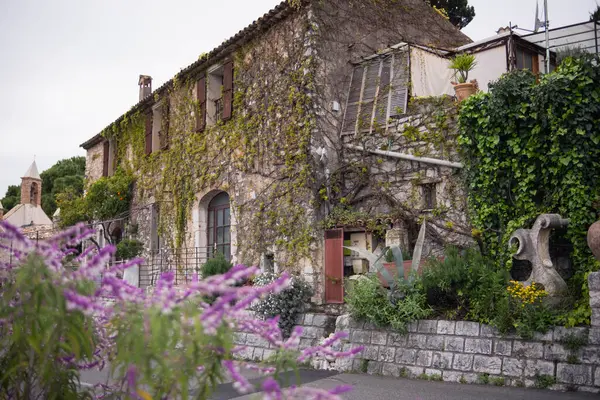 Eski kasaba, taş bina, Çin salkımının taştan duvarlarda büyümesi ve bol bol mor çiçeklerle açması. Fransa 'nın Vence kentinin manzarası.