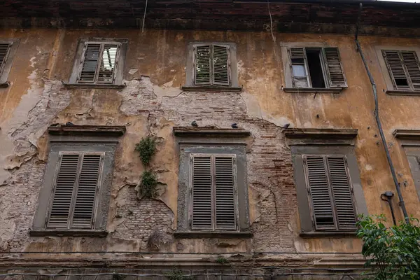 Duvarlardan sarkan bitkilerle dolu terk edilmiş eski bir ev. Kırık pencerelerden gökyüzünü görebilirsin. Bazı pejmürde pencereler kapalı..