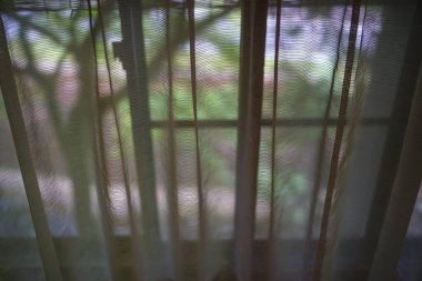 Perdelerin arasından pencere manzarası