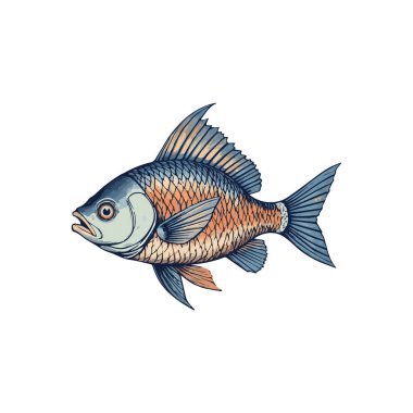 Renkli Japon Balığı Vektör İllüstrasyonu