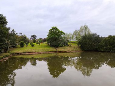 Sakin bir gölün güzel manzarası bulutlu bir günde çevredeki bitki örtüsünü yansıtıyor. Ağaçların ve çimenlerin yemyeşil yemyeşil olması huzur verici bir ortam yaratır. Rahatlamak ve düşünmek için idealdir..