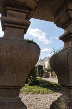 Suda gevşemiş bir kurbağa.