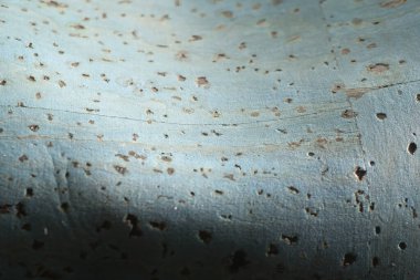 Eine Nahaufnahme zeigt eine farbige Korkoberflche mit kleinen braunen Flecken auf einem hellblauen Hintergrund. Die Punkte variieren in Gre und Form, verteilen sich scheinbar zufllig und erzeugen ein faszinierendes Muster.