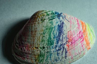 Nahaufnahme einer Muschel mit lebhaften Farbstrichen in Gruen, Blau, Lila, Rosa, Orange und Gelb. Die strukturierte Oberflaeche und kraeftigen Farben schaffen eine creative Verbindung.