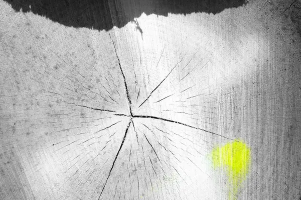 Soyut arkaplan. Monokrom dokusu. Resim siyah ve beyaz tonları içerir.