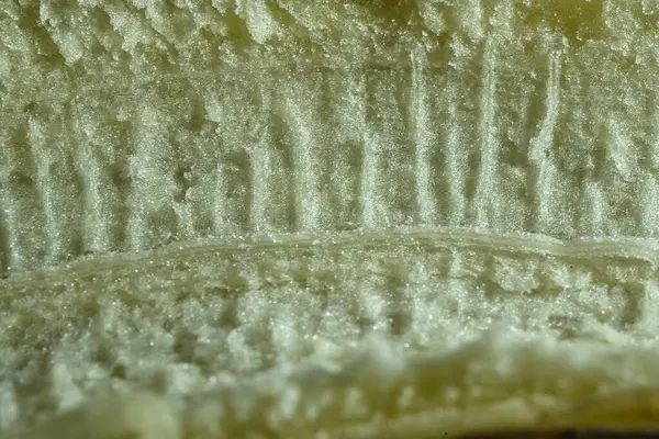 Muz yaprağı dokusu arkaplanını kapat