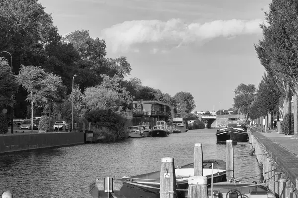 Bereketli ağaçlar tarafından çerçevelenmiş, modern ve geleneksel binalarla dolu huzurlu bir kanal sahnesi. İnsanlar suyun tadını çıkarırken tekneler kıyıda dinleniyor. Sakin yüzeyde yansımalar ve parçalı bulutlu bir gökyüzü sakin bir şehir atmosferi yaratır..