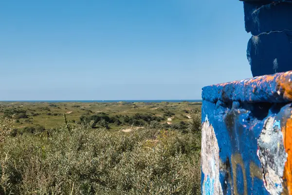 Bereketli yeşillik, dalgalı tepeler ve sanatsal grafitilerle süslenmiş canlı mavi bir yapı. Parlak bir gökyüzü altında sakin bir okyanus, doğa ve şehir sanatının mükemmel bir karışımını yaratır..