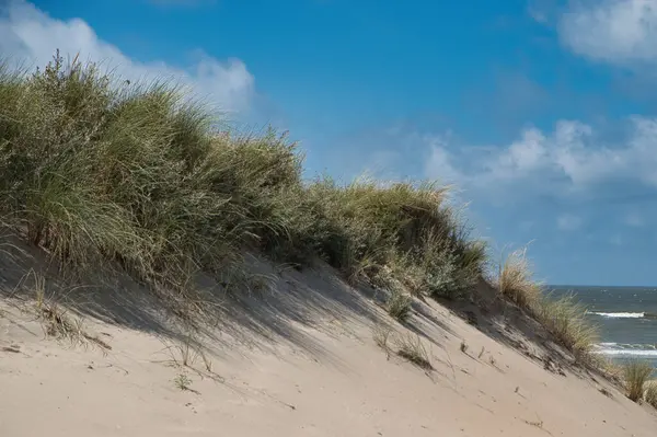Sakin bir nehir kenarı sahnesinde, durgun suda yansıyan yemyeşil ağaçlar ve yaprakların arasından süzülen yumuşak güneş ışığı görülür. - Evet. İnternet ve yayın organlarında seyahat, doğa ve rahatlama temalı tasarımlar için mükemmeldir..