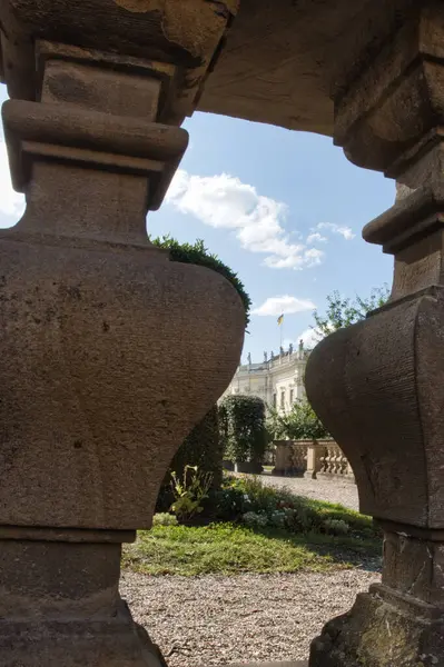 Yeşil tepeleri yuvarlayan, dolambaçlı toprak yolu ve dağınık kır çiçekleri olan huzurlu bir kır manzarası. Yumuşak güneş ışığı altın bir parıltı saçar, dinginliği arttırır 