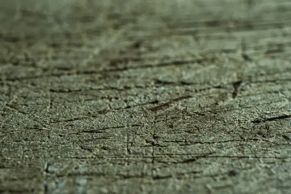 Ahşap doku arka planı. Doğal ahşap arka plan.