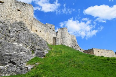 Orta Avrupa 'nın en büyük ortaçağ kaleleri olan Spis Kalesi' nin kalıntıları Slovak dağlıklarında yeşil bir tepenin üzerinde yer alıyor. Taş duvarlar ve siperler zengin tarihi, mimariyi ve mirası yansıtıyor. Yeşil çimenler ve bulutlu yaz gökyüzü. 