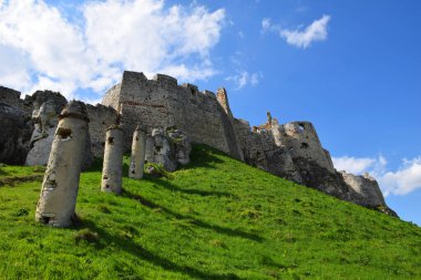 Orta Avrupa 'nın en büyük ortaçağ kaleleri olan Spis Kalesi' nin kalıntıları Slovak dağlıklarında yeşil bir tepenin üzerinde yer alıyor. Taş duvarlar ve siperler zengin tarihi, mimariyi ve mirası yansıtıyor. Yeşil çimenler ve bulutlu yaz gökyüzü. 