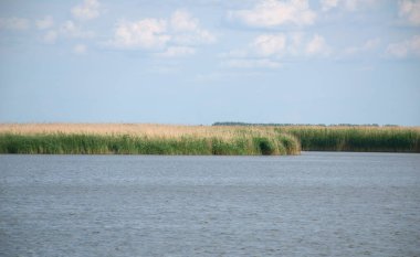 Yunanistan 'ın açık mavi sularında dinlenen paslı bir gemi enkazı. Sakin Akdeniz ve parçalı bulutlu gökyüzü ile çevrili bu kıyı sahili sakin, egzotik bir atmosfer sunuyor..