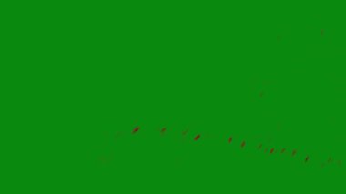 Bu 4K Kan Sıçratma Yeşil Ekran Efekti film yapımcıları, video editörleri ve içerik yaratıcıları için korku sahnelerine dramatik ve gerçekçi bir sıçrama eklemek için temel bir değerdir.