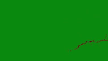 Bu 4K Kan Sıçratma Yeşil Ekran Efekti film yapımcıları, video editörleri ve içerik yaratıcıları için korku sahnelerine dramatik ve gerçekçi bir sıçrama eklemek için temel bir değerdir.