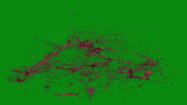 Bu 4K Kan Sıçratma Yeşil Ekran Efekti film yapımcıları, video editörleri ve içerik yaratıcıları için korku sahnelerine dramatik ve gerçekçi bir sıçrama eklemek için temel bir değerdir.