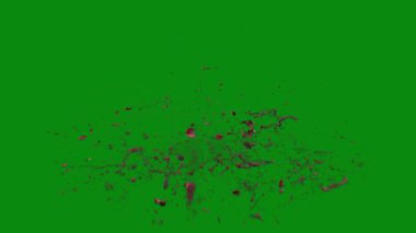 Bu 4K Kan Sıçratma Yeşil Ekran Efekti film yapımcıları, video editörleri ve içerik yaratıcıları için korku sahnelerine dramatik ve gerçekçi bir sıçrama eklemek için temel bir değerdir.