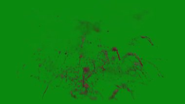 Bu 4K Kan Sıçratma Yeşil Ekran Efekti film yapımcıları, video editörleri ve içerik yaratıcıları için korku sahnelerine dramatik ve gerçekçi bir sıçrama eklemek için temel bir değerdir.