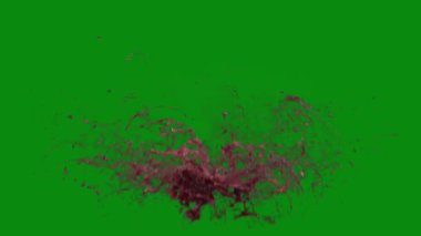 Bu 4K Kan Sıçratma Yeşil Ekran Efekti film yapımcıları, video editörleri ve içerik yaratıcıları için korku sahnelerine dramatik ve gerçekçi bir sıçrama eklemek için temel bir değerdir.