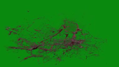 Bu 4K Kan Sıçratma Yeşil Ekran Efekti film yapımcıları, video editörleri ve içerik yaratıcıları için korku sahnelerine dramatik ve gerçekçi bir sıçrama eklemek için temel bir değerdir.