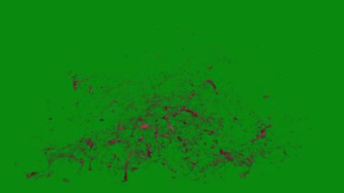Bu 4K Kan Sıçratma Yeşil Ekran Efekti film yapımcıları, video editörleri ve içerik yaratıcıları için korku sahnelerine dramatik ve gerçekçi bir sıçrama eklemek için temel bir değerdir.