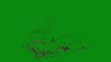 Bu 4K Kan Sıçratma Yeşil Ekran Efekti film yapımcıları, video editörleri ve içerik yaratıcıları için korku sahnelerine dramatik ve gerçekçi bir sıçrama eklemek için temel bir değerdir.