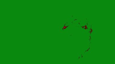 Bu 4K Kan Sıçratma Yeşil Ekran Efekti film yapımcıları, video editörleri ve içerik yaratıcıları için korku sahnelerine dramatik ve gerçekçi bir sıçrama eklemek için temel bir değerdir.