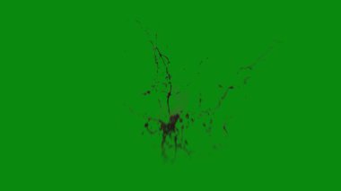 Bu 4K Kan Sıçratma Yeşil Ekran Efekti film yapımcıları, video editörleri ve içerik yaratıcıları için korku sahnelerine dramatik ve gerçekçi bir sıçrama eklemek için temel bir değerdir.
