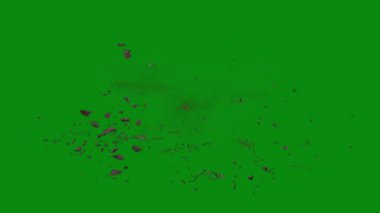 Bu 4K Kan Sıçratma Yeşil Ekran Efekti film yapımcıları, video editörleri ve içerik yaratıcıları için korku sahnelerine dramatik ve gerçekçi bir sıçrama eklemek için temel bir değerdir.