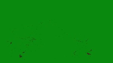 Bu 4K Kan Sıçratma Yeşil Ekran Efekti film yapımcıları, video editörleri ve içerik yaratıcıları için korku sahnelerine dramatik ve gerçekçi bir sıçrama eklemek için temel bir değerdir.