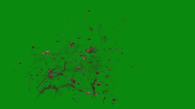 Bu 4K Kan Sıçratma Yeşil Ekran Efekti film yapımcıları, video editörleri ve içerik yaratıcıları için korku sahnelerine dramatik ve gerçekçi bir sıçrama eklemek için temel bir değerdir.
