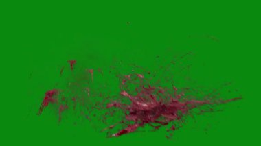 Bu 4K Kan Sıçratma Yeşil Ekran Efekti film yapımcıları, video editörleri ve içerik yaratıcıları için korku sahnelerine dramatik ve gerçekçi bir sıçrama eklemek için temel bir değerdir.
