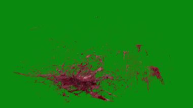 Bu 4K Kan Sıçratma Yeşil Ekran Efekti film yapımcıları, video editörleri ve içerik yaratıcıları için korku sahnelerine dramatik ve gerçekçi bir sıçrama eklemek için temel bir değerdir.