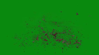 Bu 4K Kan Sıçratma Yeşil Ekran Efekti film yapımcıları, video editörleri ve içerik yaratıcıları için korku sahnelerine dramatik ve gerçekçi bir sıçrama eklemek için temel bir değerdir.