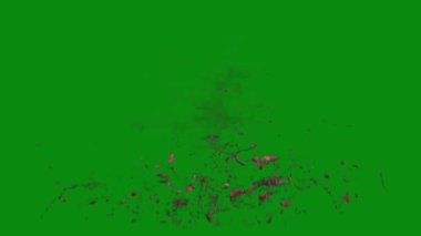 Bu 4K Kan Sıçratma Yeşil Ekran Efekti film yapımcıları, video editörleri ve içerik yaratıcıları için korku sahnelerine dramatik ve gerçekçi bir sıçrama eklemek için temel bir değerdir.