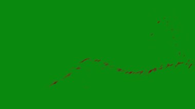 Bu 4K Kan Sıçratma Yeşil Ekran Efekti film yapımcıları, video editörleri ve içerik yaratıcıları için korku sahnelerine dramatik ve gerçekçi bir sıçrama eklemek için temel bir değerdir.