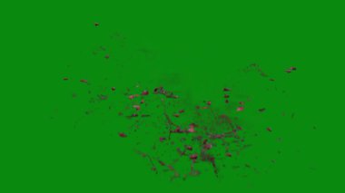 Bu 4K Kan Sıçratma Yeşil Ekran Efekti film yapımcıları, video editörleri ve içerik yaratıcıları için korku sahnelerine dramatik ve gerçekçi bir sıçrama eklemek için temel bir değerdir.